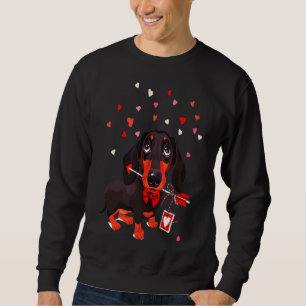 Dachshund In Sweatshirt