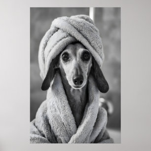 Dachshund in Towel Print, Funny Dog Bathroom Wall Poster