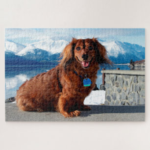 Dachshund Jigsaw Puzzle