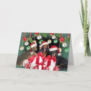 Dachshund Jingle Bells Cards