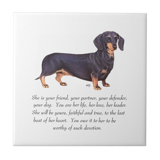 Dachshund Keepsake - Female Ceramic Tile (Front)