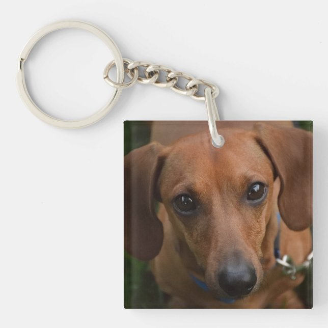 Dachshund Key Chain (Front)