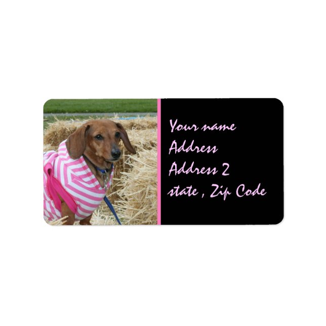 Dachshund Label (Front)