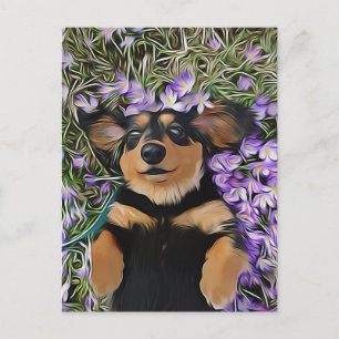 Dachshund Laying In Purple Flowers Postcard