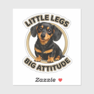 Dachshund little legs big attitude