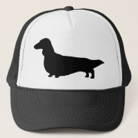 Dachshund (Long Hair)
