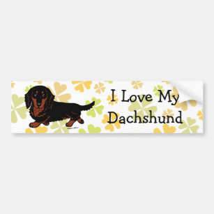 Dachshund Long Haired Black and Tan Bumper Sticker