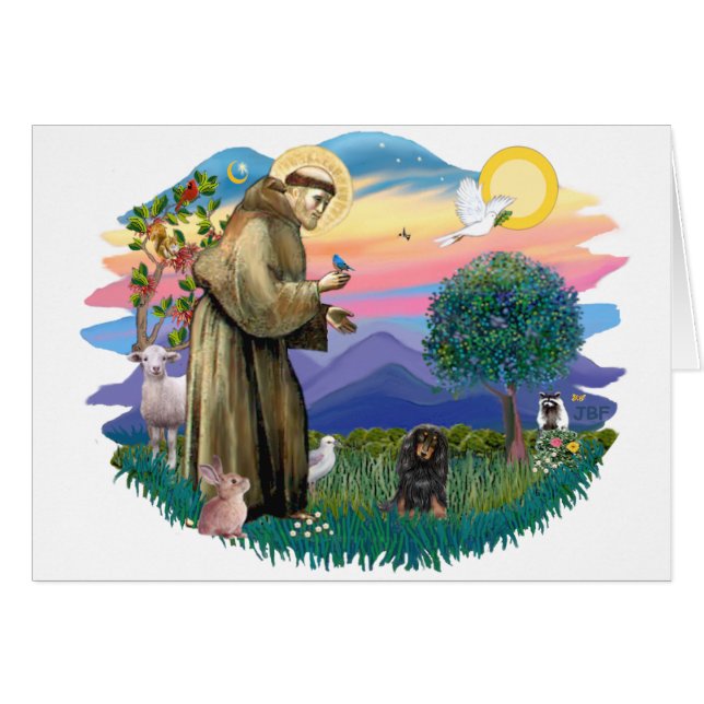 Dachshund (long haired black-tan) (Front Horizontal)