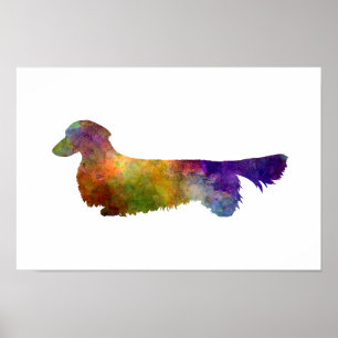 Dachshund Long Haired  in watercolor-2 Poster