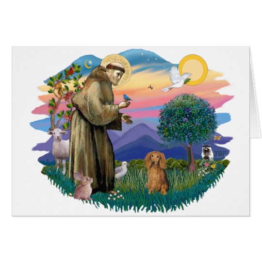 Dachshund (long haired sable) card