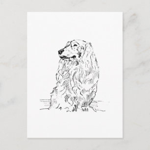 Dachshund – Long Haired Sausage Dog Postcard