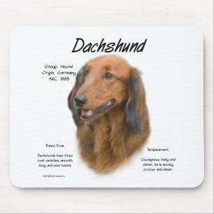 Dachshund (longhair) History Design Mouse Pad