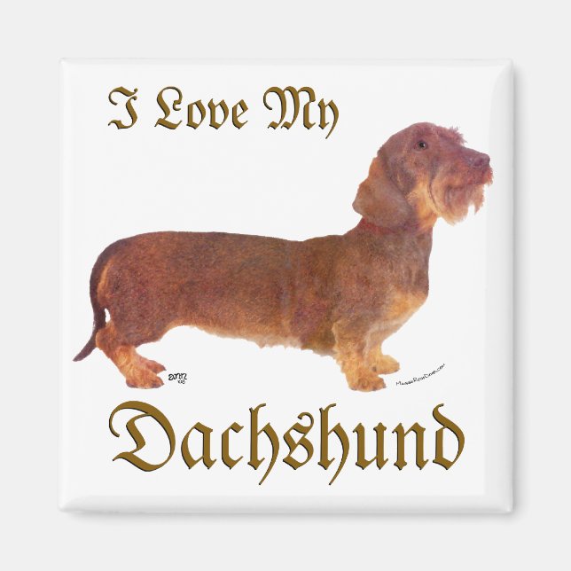 Dachshund Love Magnet (Front)