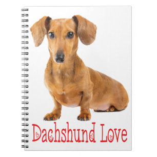 Dachshund Love Tan Puppy Dog Notebook