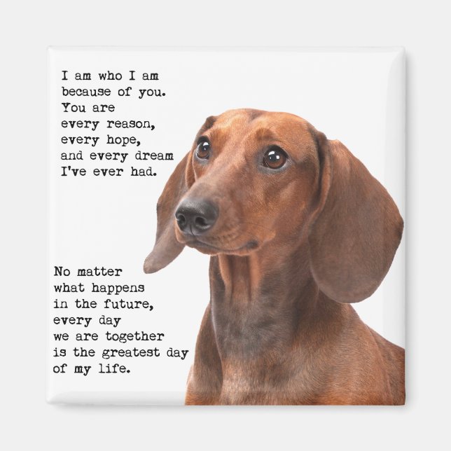 Dachshund Magnet (Front)