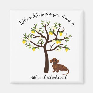 Dachshund Magnet When Life Gives You Lemons