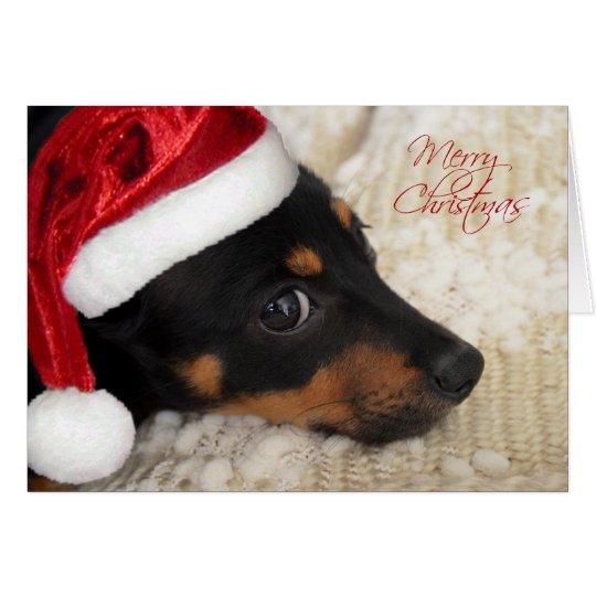 Dachshund Merry Christmas Card