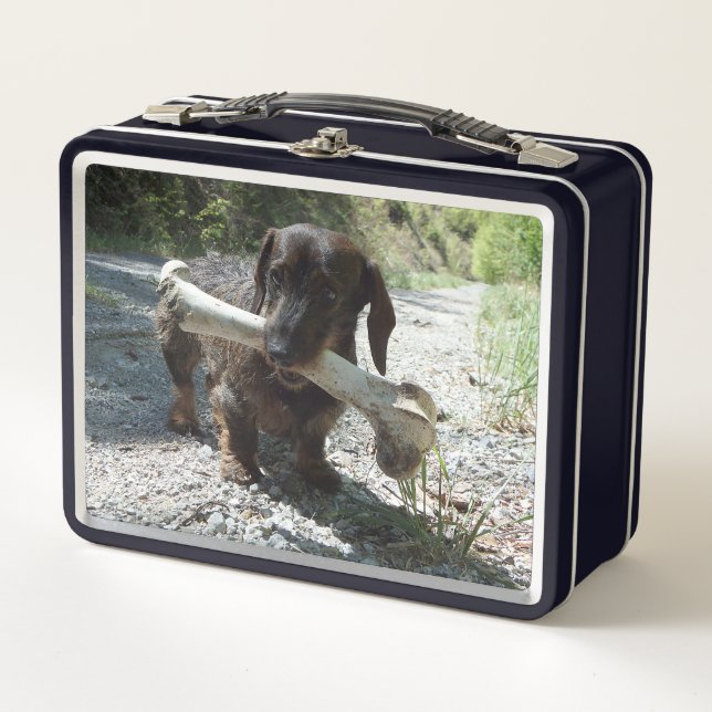 Dachshund Metal Lunch Box (Front)