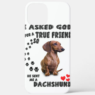 Dachshund Miniature Gift, Sausage Dog, Weenie Wog, iPhone 12 Pro Max Case