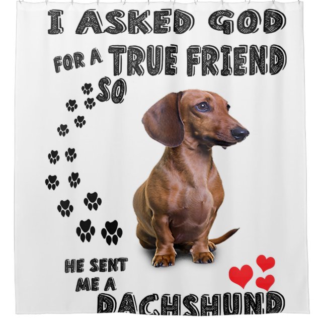 Dachshund Miniature Gift, Sausage Dog, Weenie Wog, Shower Curtain (Front)