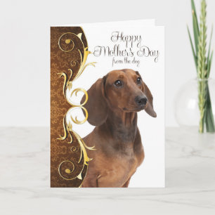 Dachshund Mother's Day Card
