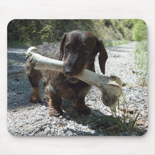 Dachshund Mouse Pad (Front)