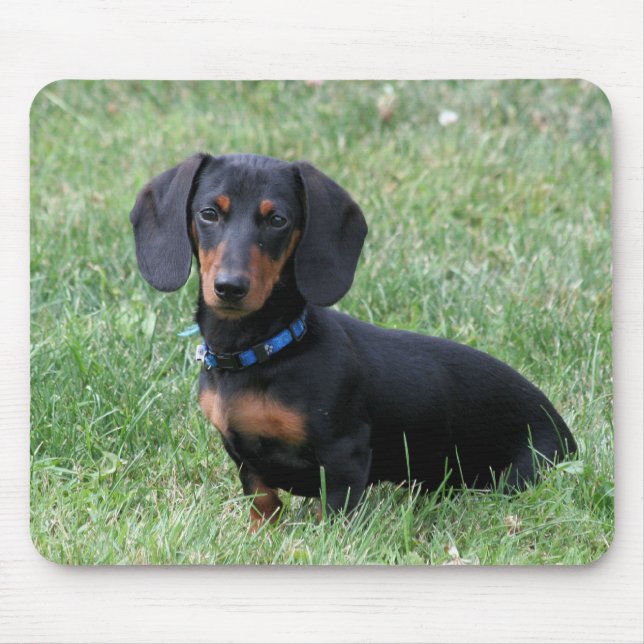 Dachshund Mouse Pad (Front)