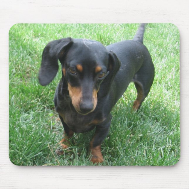 Dachshund Mouse Pad (Front)