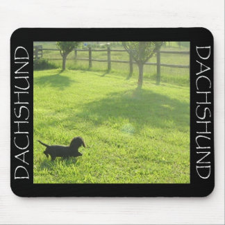 Dachshund Mousepad