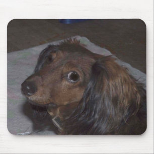 Dachshund Mousepad