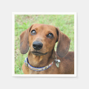 Dachshund Napkin
