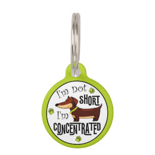 Dachshund Not Short I'm Concentrated Pet Tag