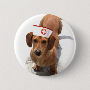 Dachshund nurse button