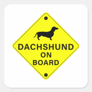 Dachshund on Board Funny Dog Bumper Square Sticker