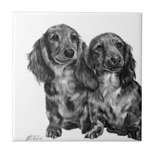 Dachshund Pair Tile