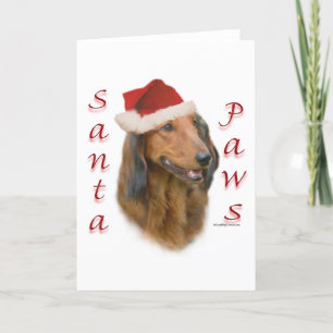 Dachshund Paws - Longhair Holiday Card