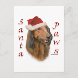 Dachshund Paws - Longhair Postcard