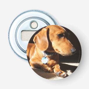 Dachshund Pet Dog Bottle Opener