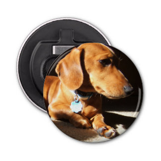 Dachshund Pet Dog Bottle Opener