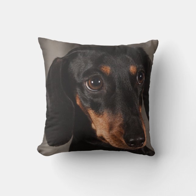 Dachshund Pet Dog Throw Pillow Home Decor (Front)