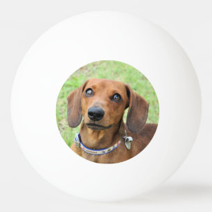 Dachshund Ping Pong Ball
