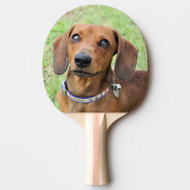 Dachshund Ping Pong Paddle (Front)