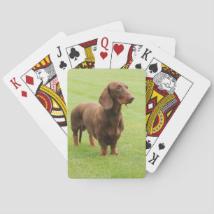 Dachshund Playing Cards