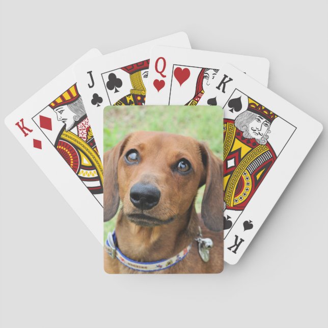 Dachshund Playing Cards (Back)