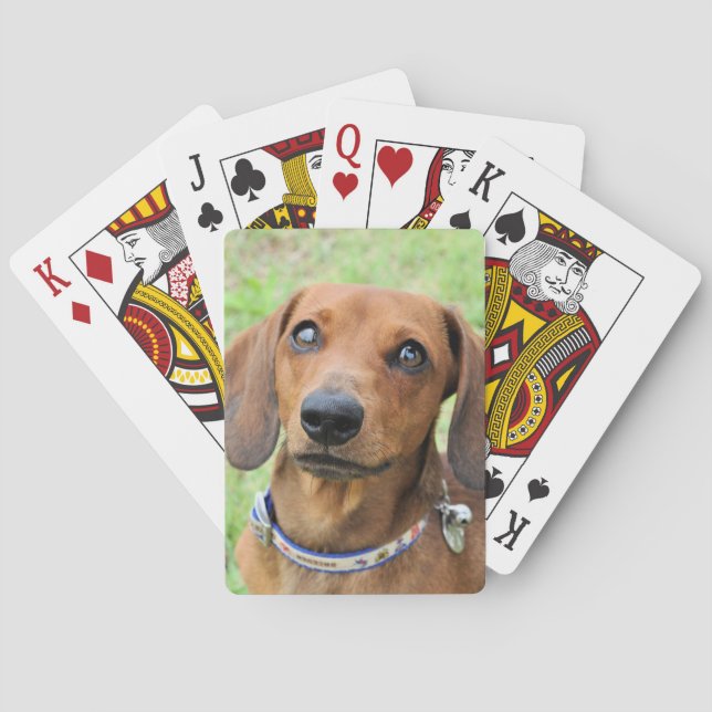 Dachshund Playing Cards (Back)