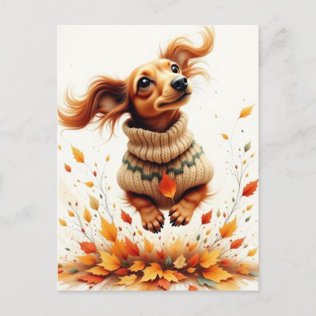 Dachshund playing in the fall leaves postcard (Front)