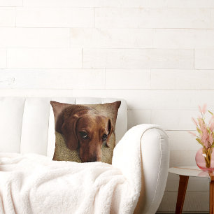 Dachshund Portrait Throw Pillow