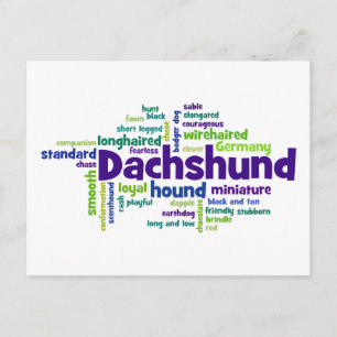 Dachshund Postcard