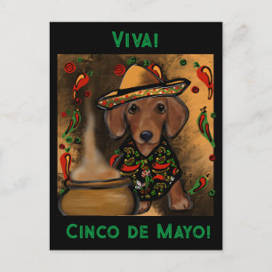 Dachshund     postcard