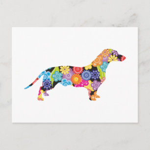 Dachshund Postcard